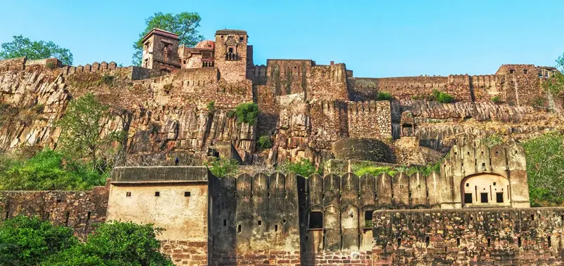 3. Ranthambore National Park, Rajasthan